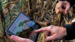 Agricultura digital para descifrar la variabilidad del suelo