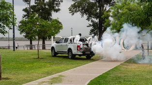 Postales del operativo de fumigación