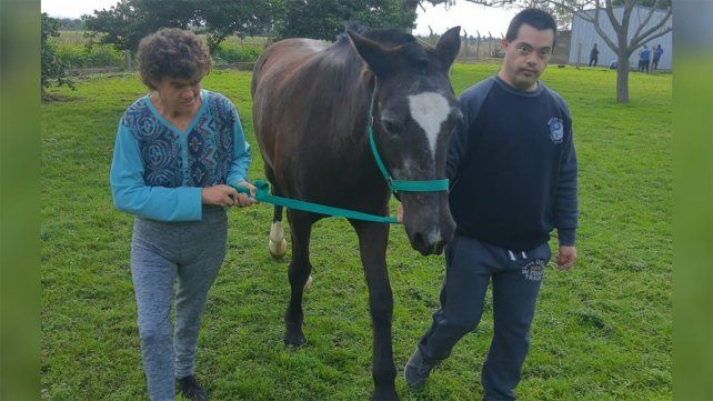 Don Uva: robaron una yegua utilizada para equinoterapia