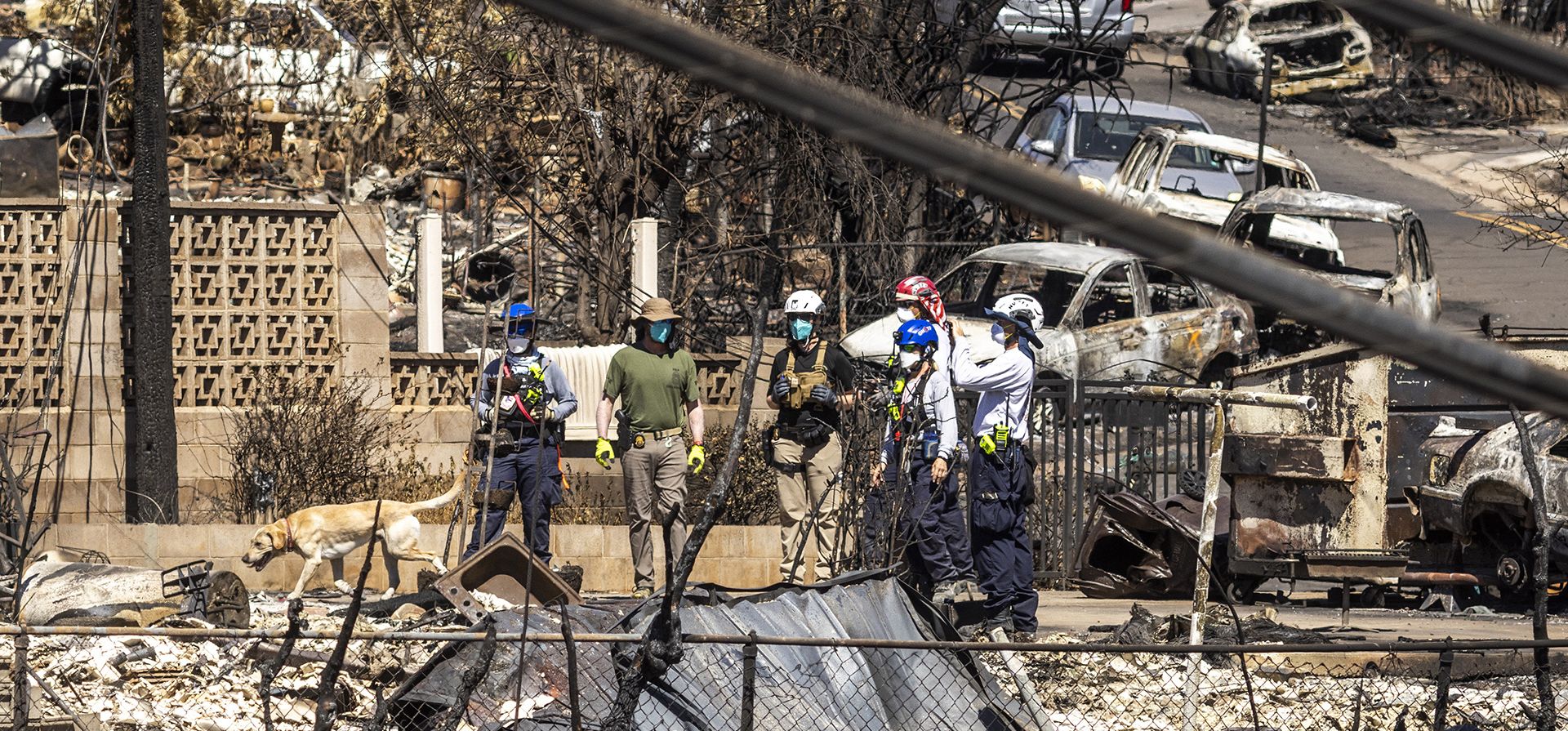 Un equipo de búsqueda y rescate urbano busca restos humanos en una casa destruida por el incendio de West Maui, en Lahaina, en la isla de Maui, Hawái, el jueves 17 de agosto de 2023. (Stephen Lam/San Francisco Chronicle vía AP) Un equipo de búsqueda y rescate urbano busca restos humanos en una casa destruida por el incendio de West Maui, en Lahaina, en la isla de Maui, Hawái, el jueves 17 de agosto de 2023. (Stephen Lam/San Francisco Chronicle vía AP)