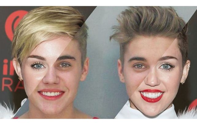 Personas, animales y objetos que son similares entre sí