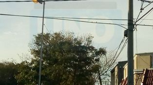 Luces de día. En calle Sudamérica de Paraná las luces de la vía pública permanecen prendidas&nbsp;durante el día&nbsp;