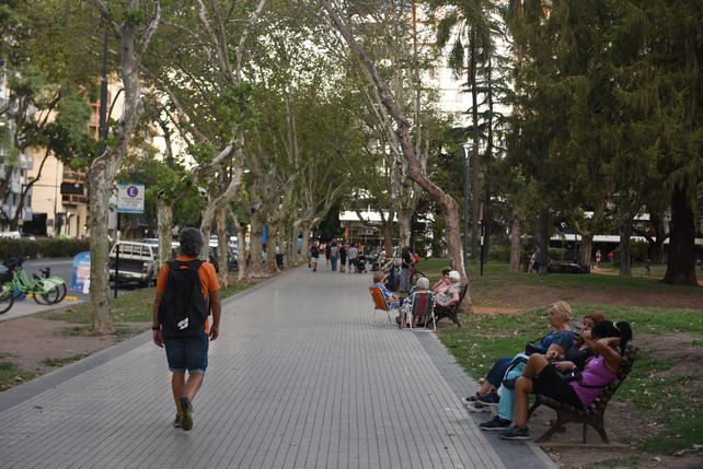 El calor no da tregua y las plazas ya no son refugio porque los árboles sienten el impacto.