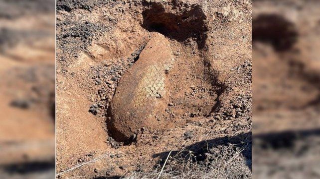 En Líbaros encontraron fósil de un gliptodonte