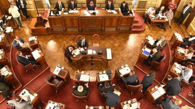 Dieciocho de los 19 senadores provinciales van por la reelección. Y ocho están en riesgo de perder sus bancas.&nbsp;