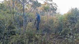 Intensa búsqueda y rastrillaje de un policía retirado en la isla