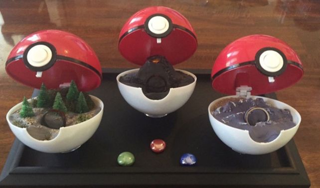 Las pokebolas con los anillos.