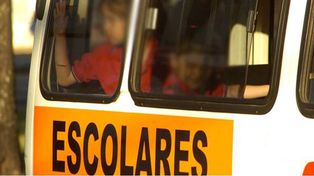 Transportes escolares: hay 184 habilitados