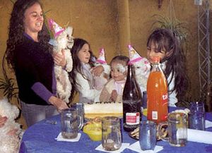 Ins&oacute;lito: le festejaron el cumplea&ntilde;os a una perra caniche con torta e invitados