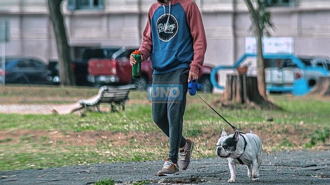 Paraná: a pasear los perros con correa