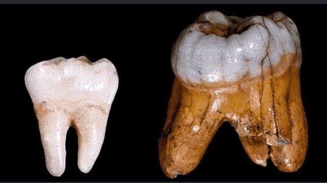 Hallan huesos de denisovanos gigantes en Taiwán y reavivan teorías sobre los Nefilim bíblicos.