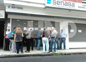 Visto bueno del Senasa a la idea de trasladar sus oficinas al Interpuertos