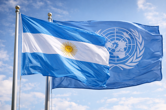 Argentina ante el mundo: el costo de una NDC sin definición