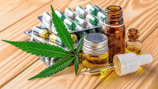 El cannabis y su uso para tratamientos.