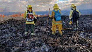 La provincia coordinará tareas con Buenos Aires y Entre Ríos para combatir los incendios.