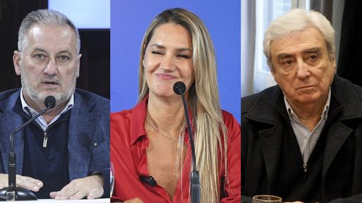 Venta sin límites de tierras a extranjeros: cómo votarán los tres legisladores santafesinos