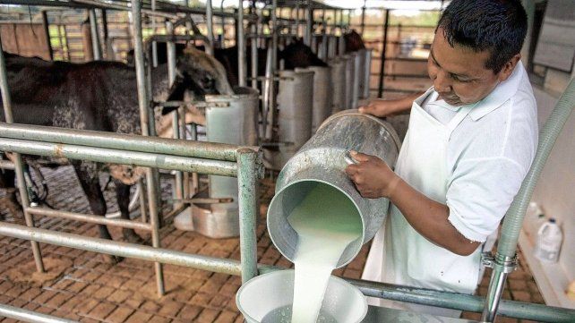 La producción lechera entrerriana dejó atrás dos años de caída y creció 12% en 2025.