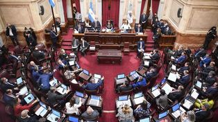 En los comicios de octubre se renovarán 24 de las 74 bancas en el Senado.