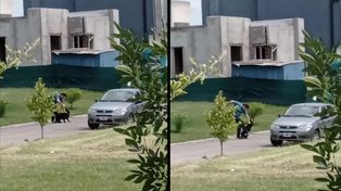 Imputan por maltrato animal a un hombre que fue filmado cuando le pegaba a su perro