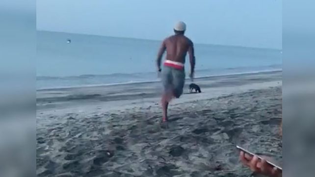 Quiso darle una patada a un perro y fue perseguido por una manada