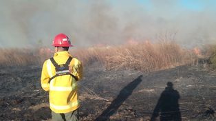 Hay 20 personas de Bomberos de Victoria, brigadistas forestales de La Paz y Zapadores de Paraná combatiendo incendios en la zona del puente Victoria - Rosario