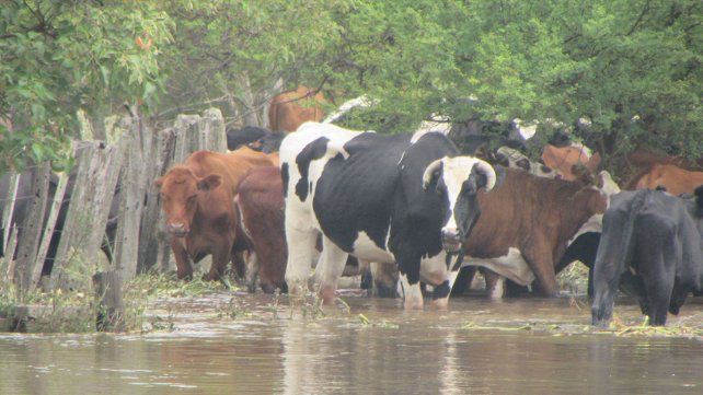 El Paraná tiene fuerte impacto en las amplias zonas de islas
