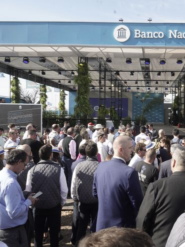 Agroactiva: Banco Nación y de Santa Fe otorgaron créditos por más de $57 mil millones