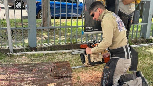 Fiesta de la Artesanía en Colón: el Patio de Tallistas es uno de los grandes atractivos