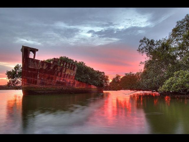 Bosque flotante en un buque de 102 años