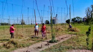 En Casalegno un grupo de mujeres trabaja día a día para poder lograr un hito histórico para la producción alimentaria de la provincia. Una cerveza elaborada 100% en Santa Fe.