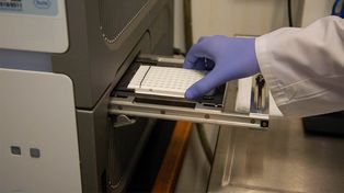 Tres muertes y 81 nuevos casos de contagios en el país