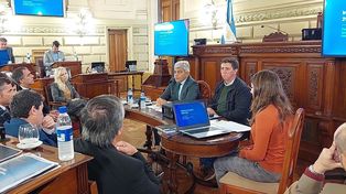Jorge Baclini repasó la situación del MPA en el Senado provincial.