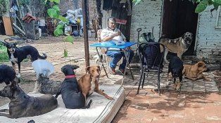 Ángel y sus 20 perros rescatados de la calle necesitan de la solidaridad de la gente