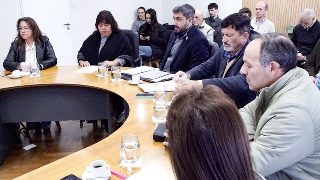 El Senado trabajó en comisión y trazó un cronograma de trabajo para el análisis del proyecto de ley de Reforma previsional. Varios sectores convocados al debate
