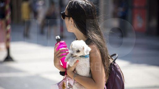 Cambio climático: la década de 2015 a 2025 fue la de mayor calor jamás registrada