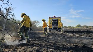 Los incendios forestales se desataron a 150 kilómetros de la capital provincial.