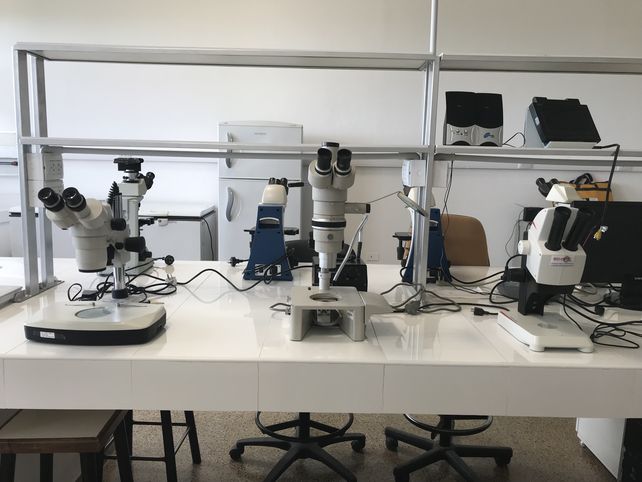 La UNL inaugura tres laboratorios en Ciudad Universitaria