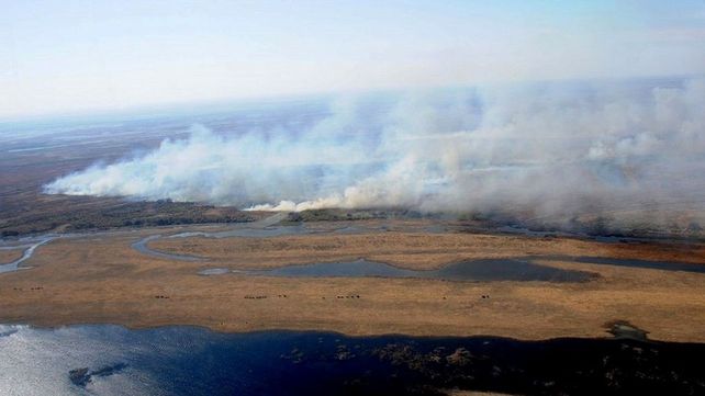 Los apicultores encendieron fuego en las islas del Delta.&nbsp;