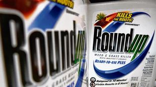 Las acciones de Bayer se desploman por otro revés con el Roundup