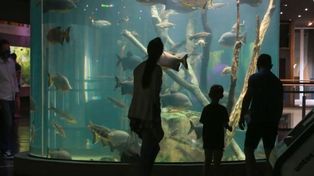 El Acuario, ubicado en el parque Alem, una de las grandes atracciones turísticas de Rosario.