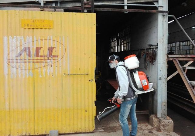Concordia ya suma más de 4.000 casos positivos de dengue. Afirman que la fumigación no es suficiente para detener al aedes aegypti