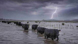 Santa Fe se prepara para El Niño con una plataforma para proteger al campo