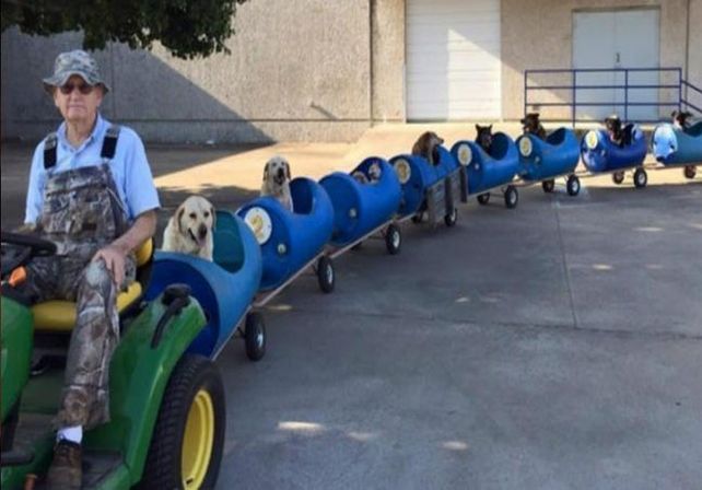 Construyó un tren para pasear perros abandonados