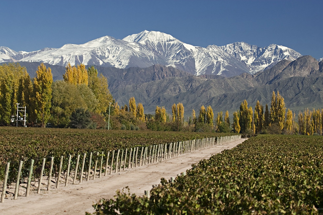 El paisaje de Luján de Cuyo y sus bodegas atraen a miles de turistas extranjeros y nacionales.&nbsp;