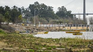 Qué traen los camalotes que llegan a las costas de Rosario en plena crecida del Paraná