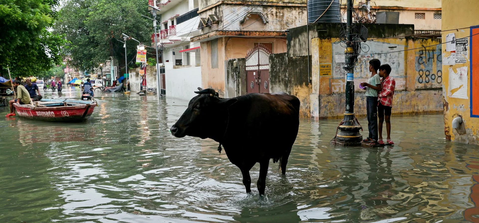 Una vaca se para en una calle inundada después de que las fuertes lluvias monzónicas hicieran subir el nivel del agua del Ganges, Varanasi, India. Fotografía: Niharika Kulkarni/AFP/Getty Images Una vaca se para en una calle inundada después de que las fuertes lluvias monzónicas hicieran subir el nivel del agua del Ganges, Varanasi, India. Fotografía: Niharika Kulkarni/AFP/Getty Images
