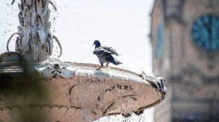 El calor y la humedad seguirán en la región al menos hasta la semana que viene