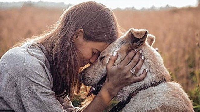 Las mascotas ocupan un lugar central en la vida de la mayoría de los argentinos