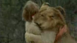 M&aacute;s de 30 millones de internautas vieron el emocionante video del le&oacute;n Christian