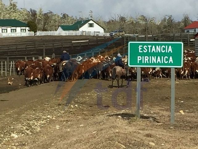 estancia pirinaica. Los investigadores tienen un indicio